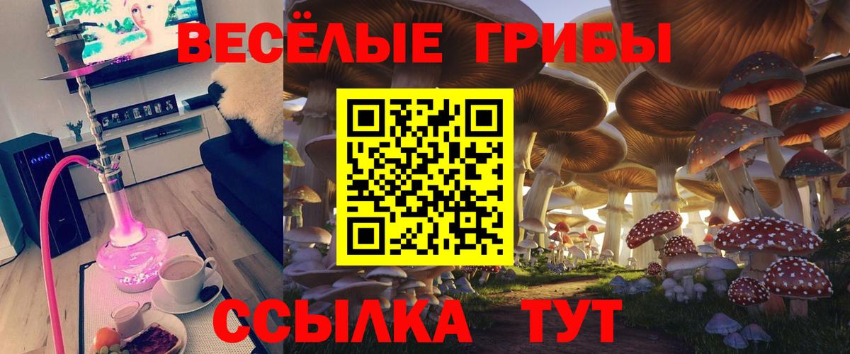 Псилоцибиновые грибы GOLDEN TEACHER Арсеньев