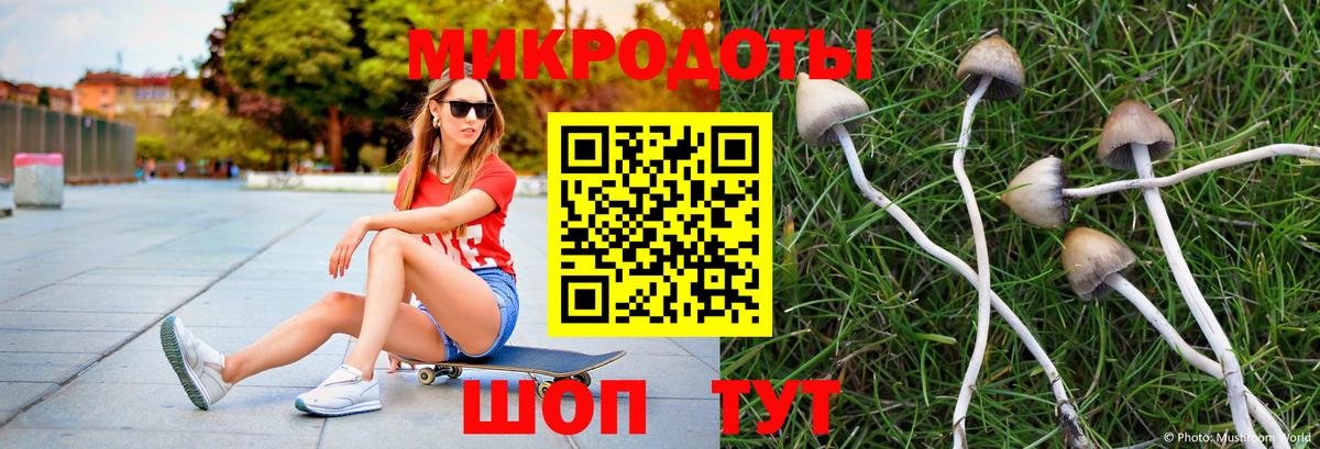 Галлюциногенные грибы Magic Shrooms  Вход с VPN  Арсеньев 